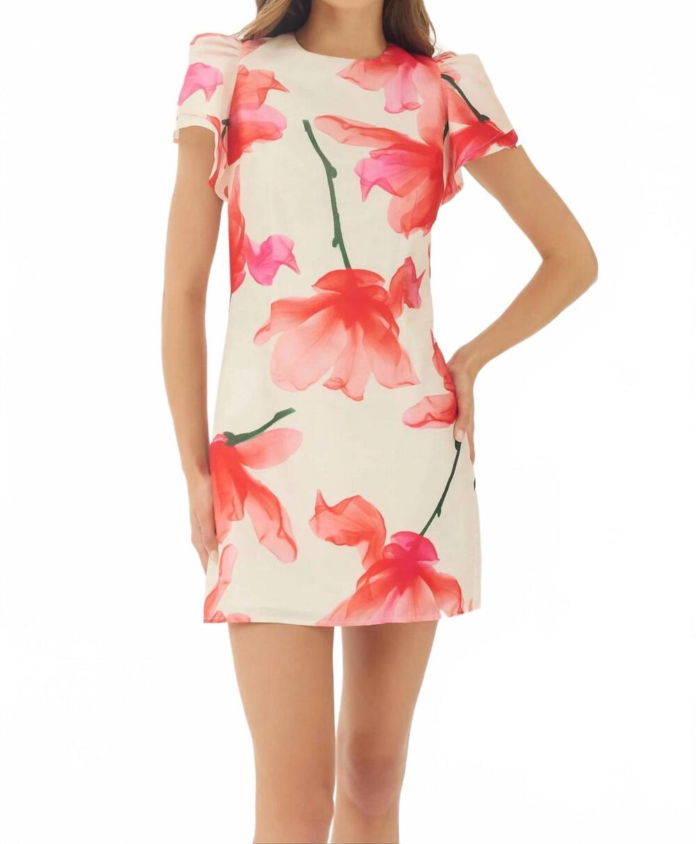 NEW HUTCH vatti dress in red x-ray
